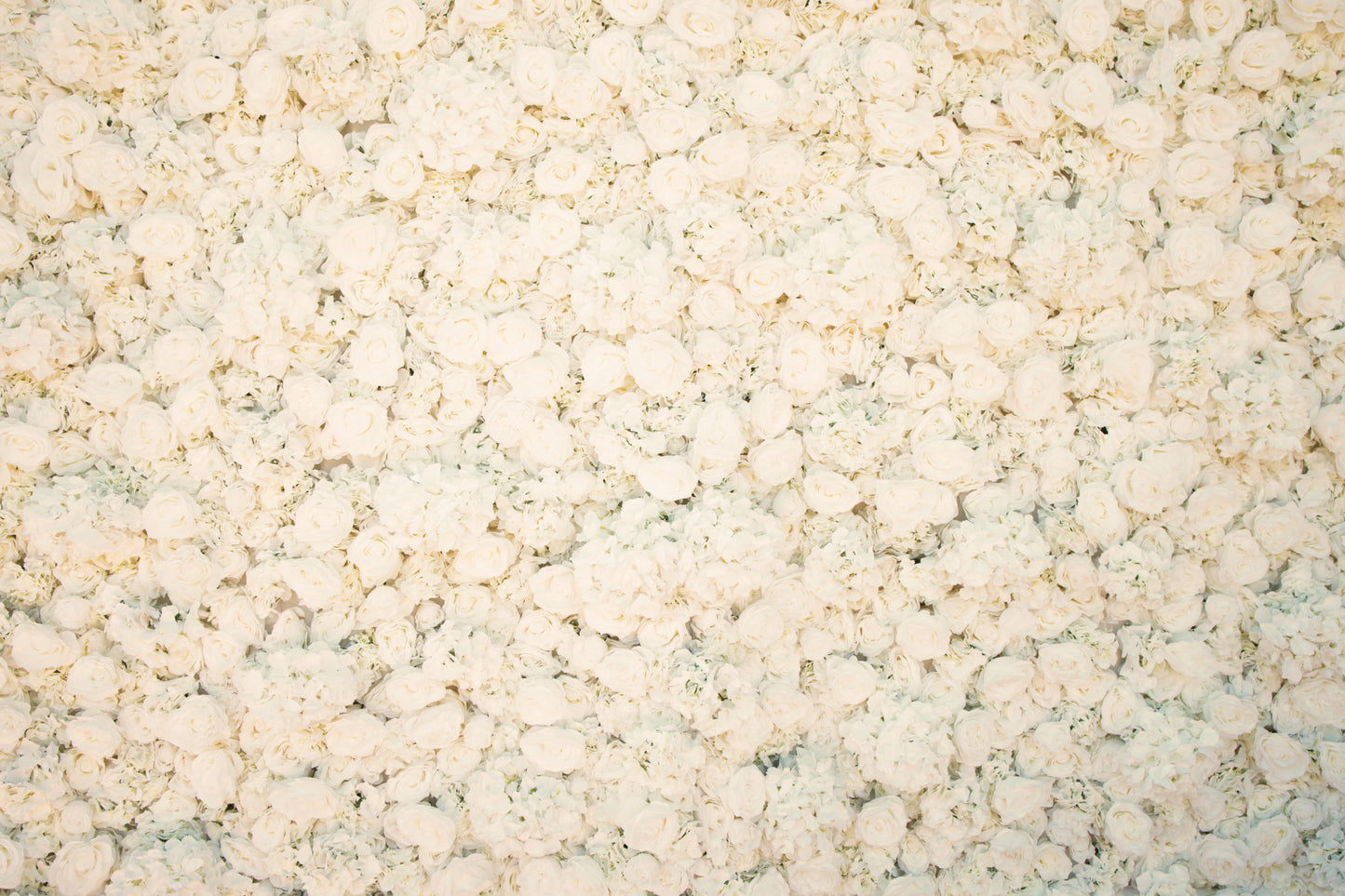 White Pearl Flower Wall